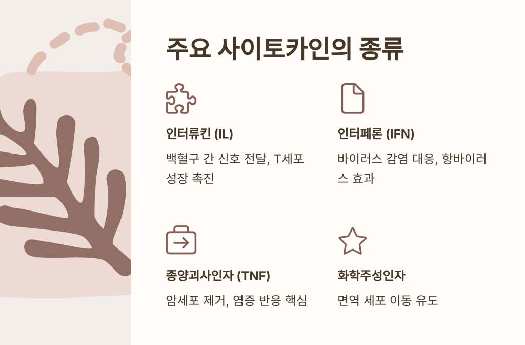 사이토카인